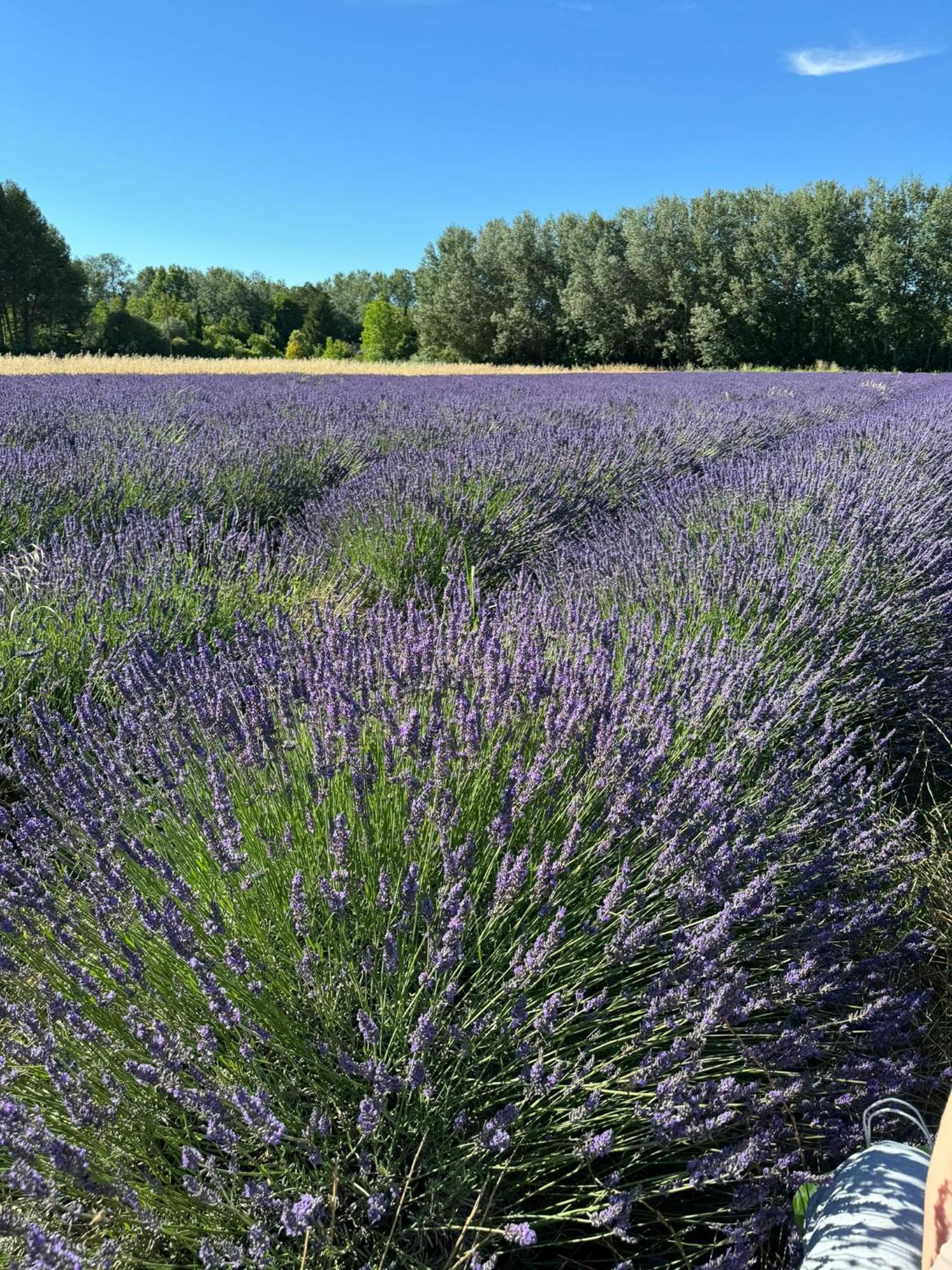 Appartement Neuf Et Au Calme Proche Avignon Althen-des-Paluds Zewnętrze zdjęcie